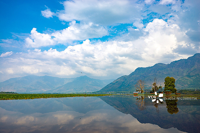印度克什米尔达尔湖的镜面湖图片素材