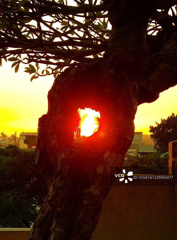 中国台湾安平古堡日落景色图片素材