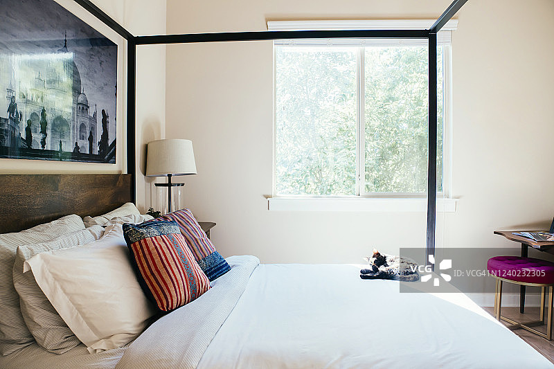 配有天篷床、白色床单、牛皮地毯和泰姬陵黑白照片的卧室图片素材