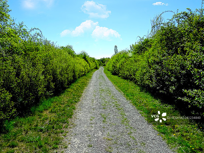 梦幻般的小路邀请您漫步图片素材