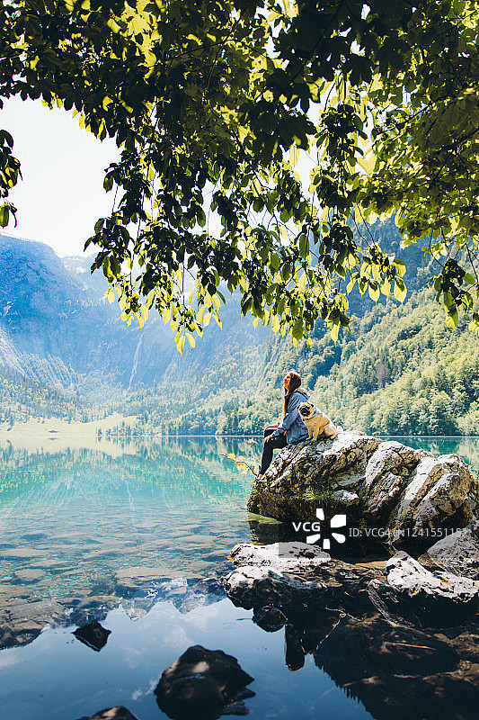 巴伐利亚阿尔卑斯山的夏日清晨图片素材