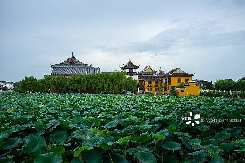 锦溪古镇的荷花池寺庙图片素材