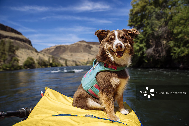 俄勒冈州温暖泉印第安人保留地的德舒特斯河图片素材