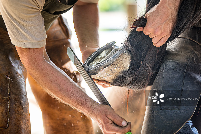 铁匠锉平马蹄铁特写图片素材