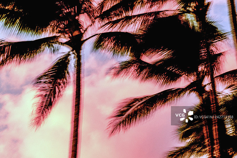 美国夏威夷哈莱伊瓦阿里海滩公园日落图片素材