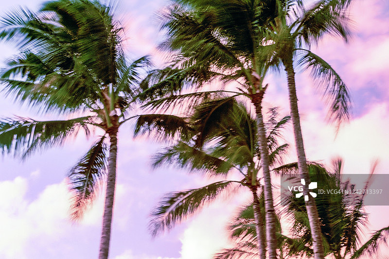 美国夏威夷哈莱伊瓦阿里海滩公园日落图片素材