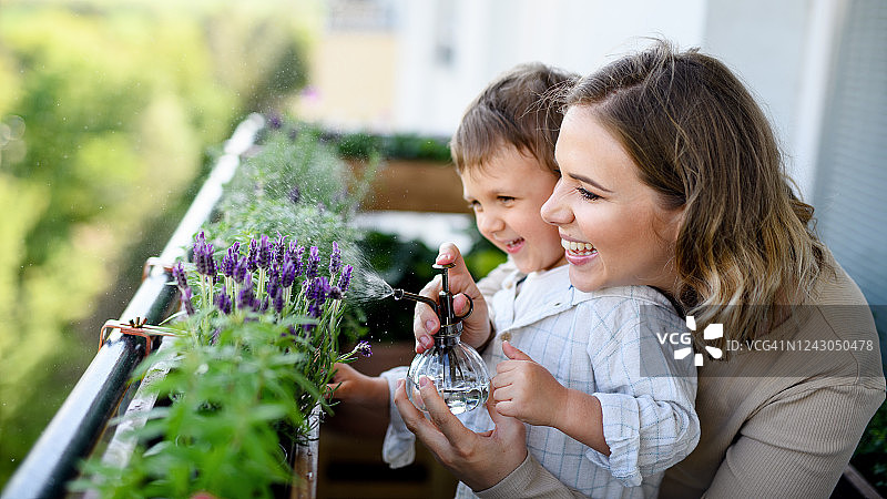 快乐的年轻女子和小儿子在阳台上园艺，都市花园概念图片素材