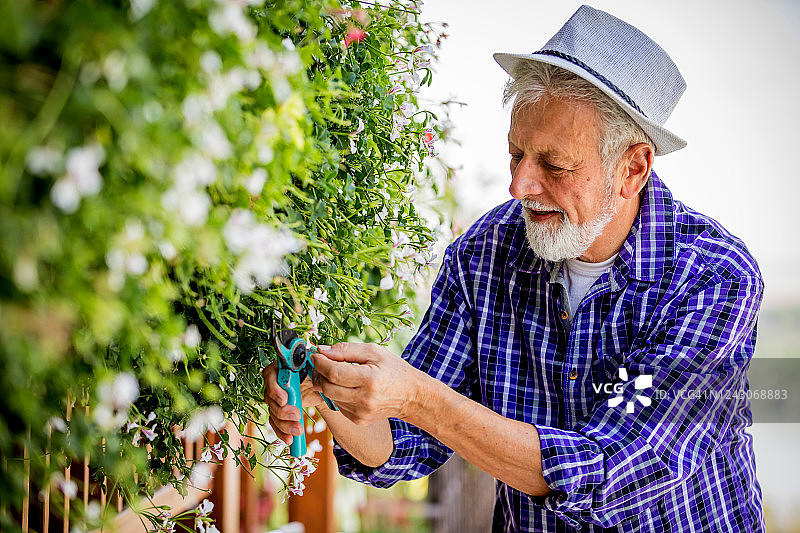 给妻子剪花图片素材