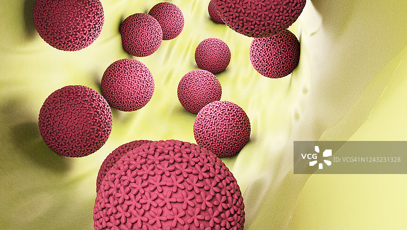 人乳头瘤病毒（HPV）图片素材