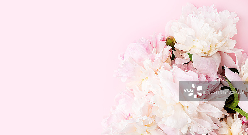 国际妇女节：时尚粉色牡丹平铺，粉色纸上的粉白牡丹边框，母亲节贺卡，情人节图片素材