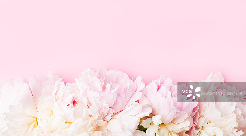 国际妇女节：时尚粉色牡丹平铺，粉色纸上的粉白牡丹边框，母亲节贺卡，情人节图片素材