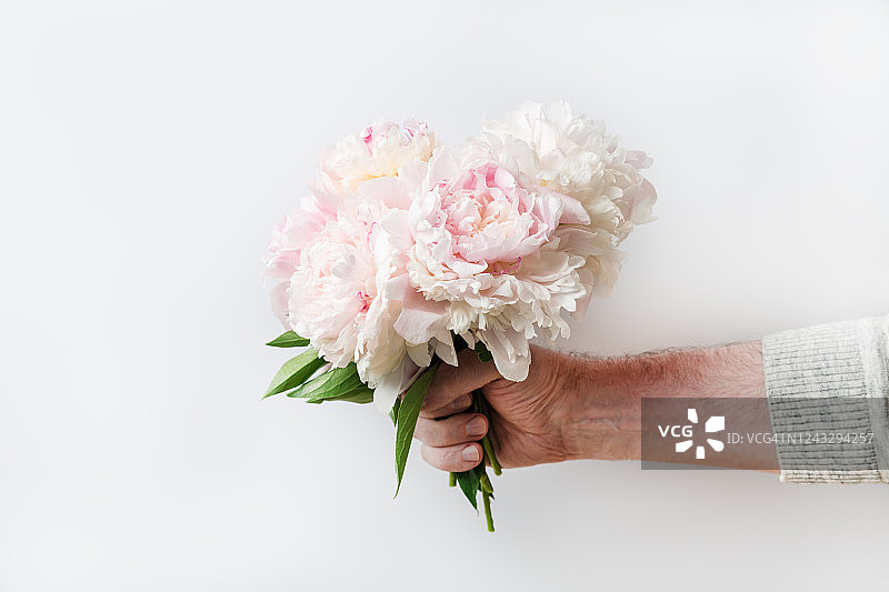 男人在国际妇女节或情人节展示一束别致的粉红色牡丹花，有文字区域的祝贺概念图片素材