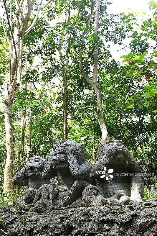 猴子雕像：非礼勿视，非礼勿听，非礼勿言图片素材