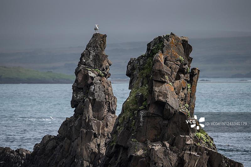 冰岛西峡湾特雷基利斯维克岩层图片素材
