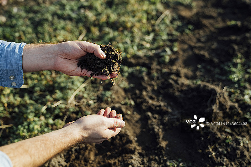 男子在农田里手捧泥土的特写图片素材