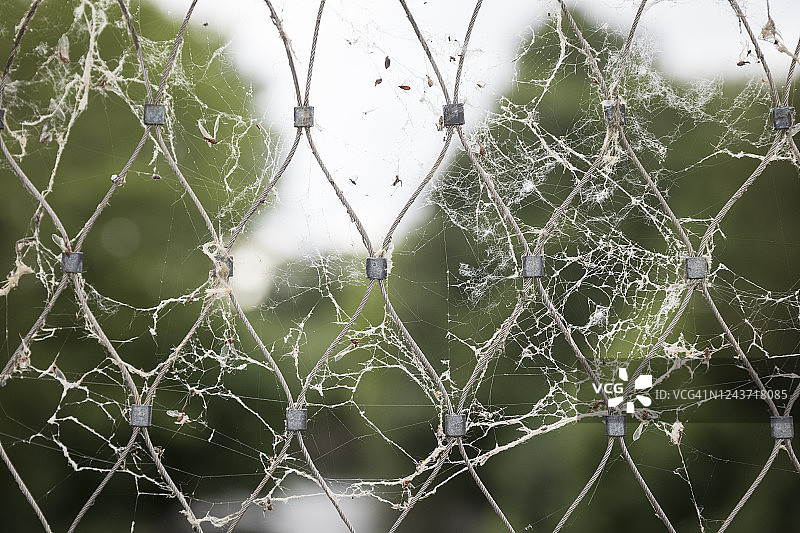 法国蒙塔日铁丝网和蜘蛛网图片素材