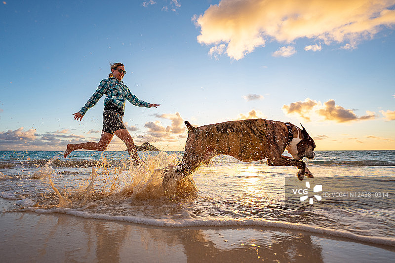 女人和拳师犬在日出时沿着海滩奔跑图片素材
