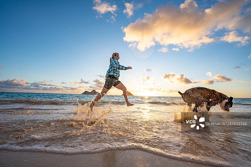 女人和拳师犬在日出时沿着海滩奔跑图片素材