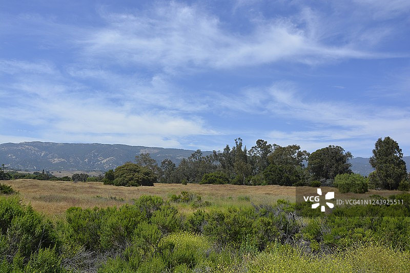洛斯卡内罗斯公园图片素材