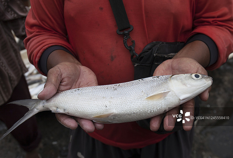 男人手持奶鱼图片素材