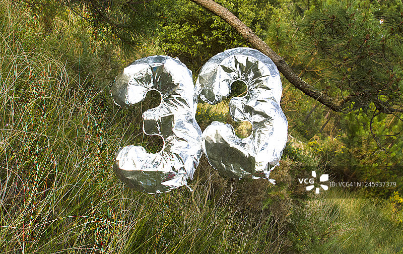 穿过森林的气球33图片素材