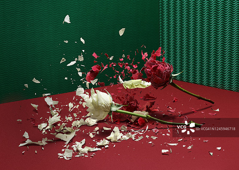 鲜花绽放图片素材