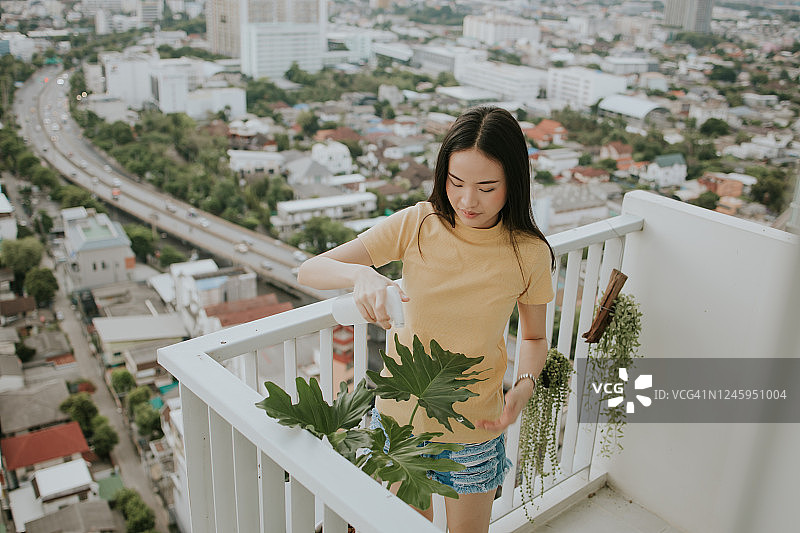 在城市中浇灌小树图片素材