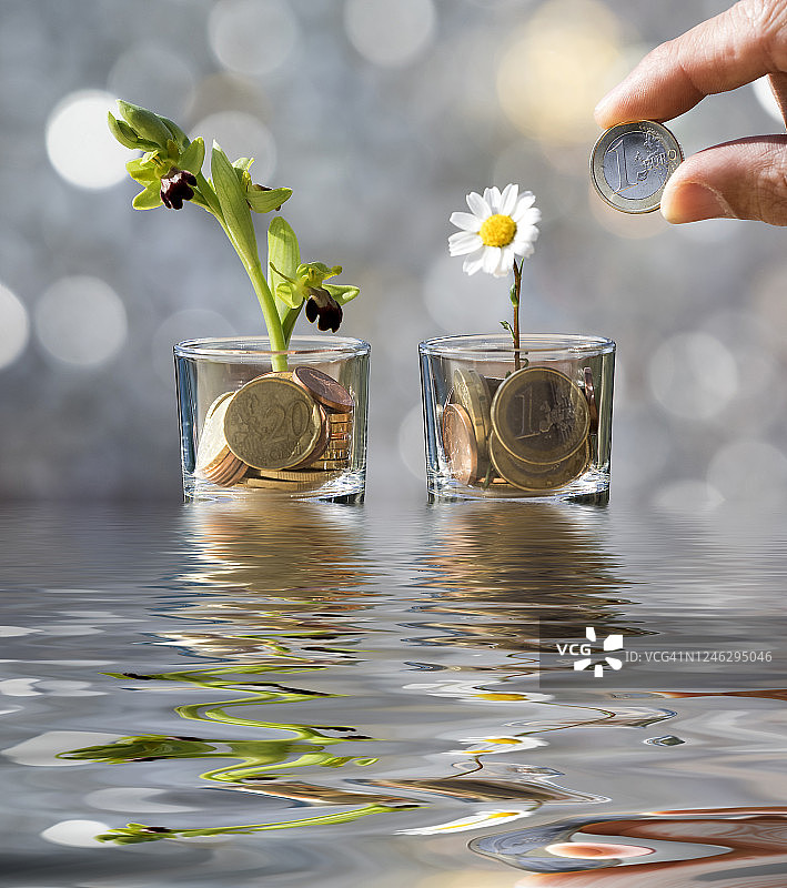 男子用欧元喂养硬币植物图片素材