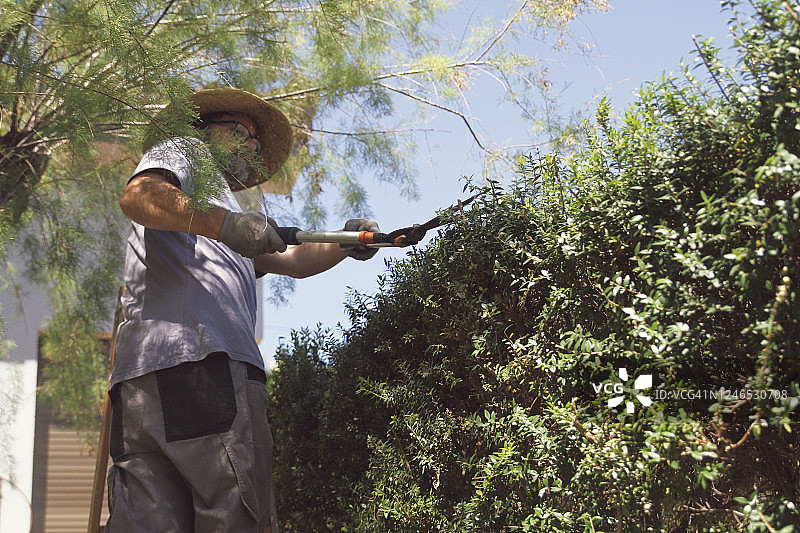 男子修剪树枝的低角度视图图片素材
