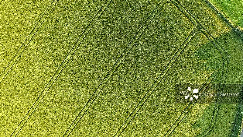 航拍抽象耕地图片素材