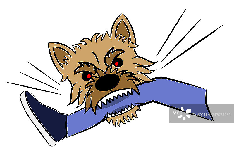 诺威奇梗犬咬人腿部插图素描（白色背景，已隔离）图片素材