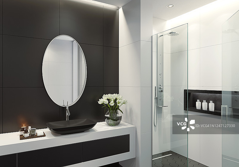 带椭圆镜的现代黑白浴室图片素材