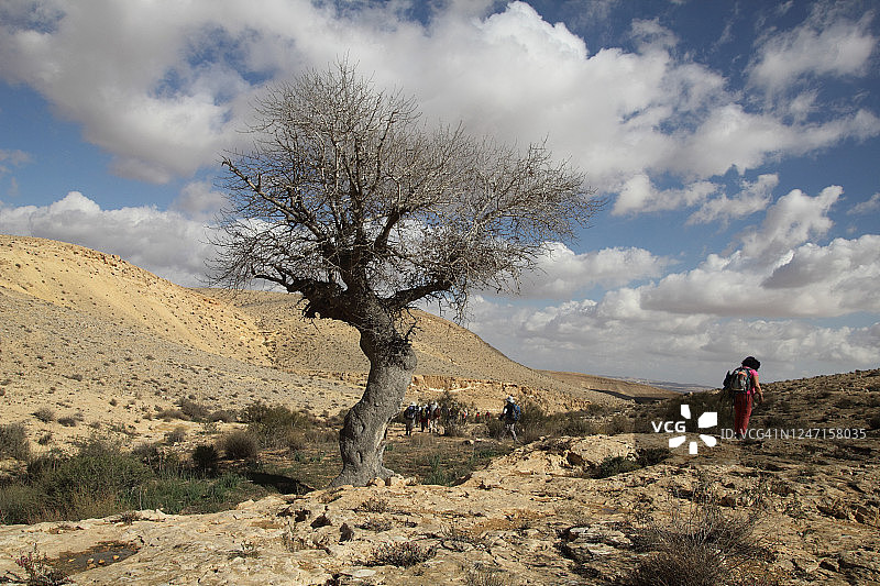 天空中的秋云、树木和徒步旅行者图片素材