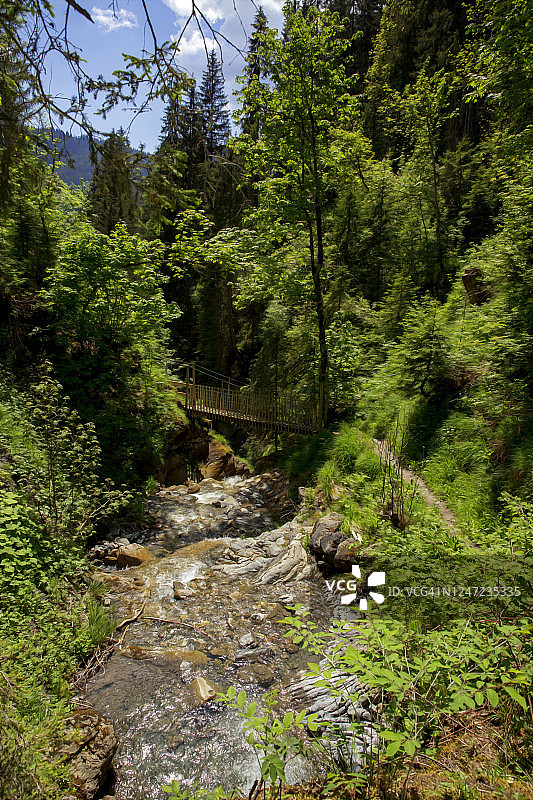 小河边的绿色观光列车图片素材