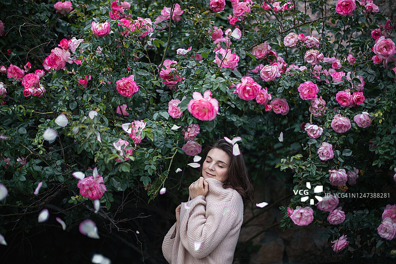 年轻女子闻着粉红色的玫瑰花香，穿着羊毛开衫，在盛开的玫瑰花园旁摆姿势，香水广告概念图片素材