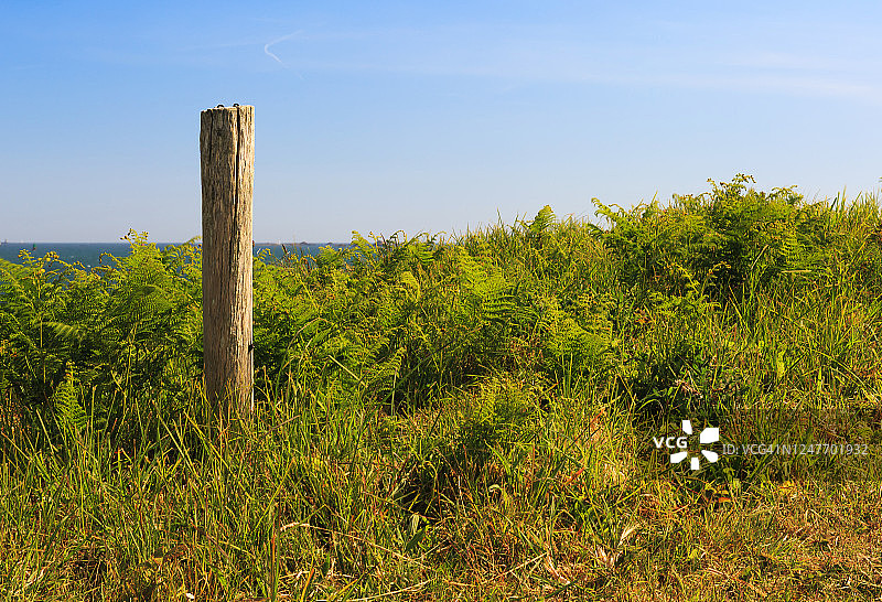 乡村的栅栏柱图片素材