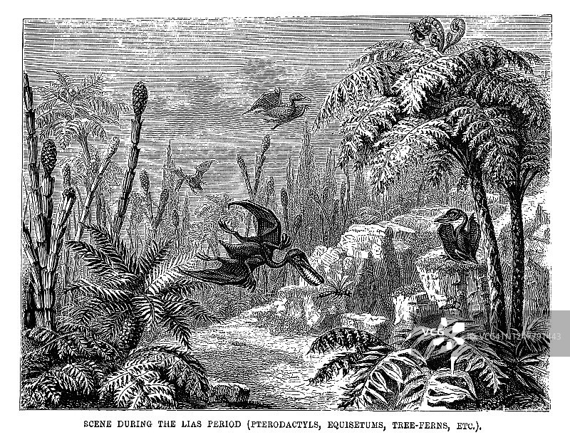 复古地质学插图图片素材