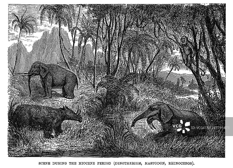 复古地质学插图图片素材