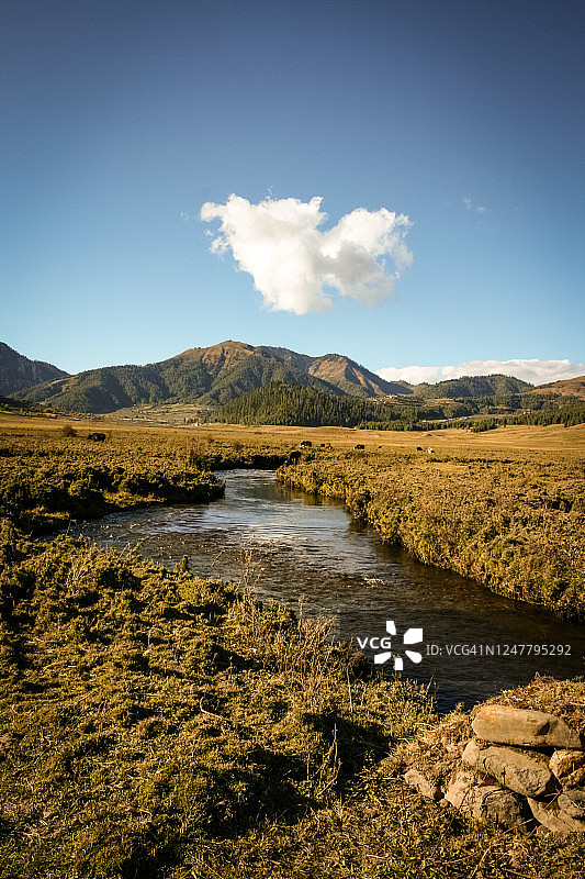 不丹，富毕卡山谷图片素材
