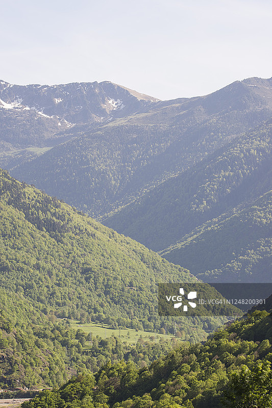 阿兰山谷的山脉和茂密森林图片素材