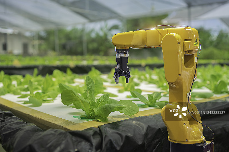 机械臂采摘水培蔬菜智能农场概念图片素材