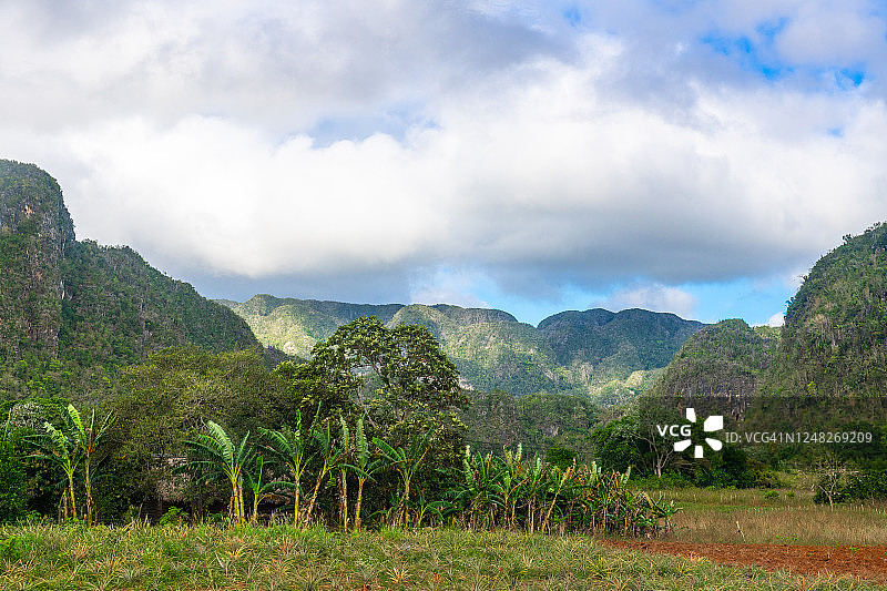古巴比那尔德里奥省维尼亚莱斯山谷图片素材