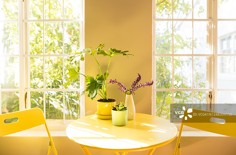 公寓里的咖啡桌和椅子图片素材