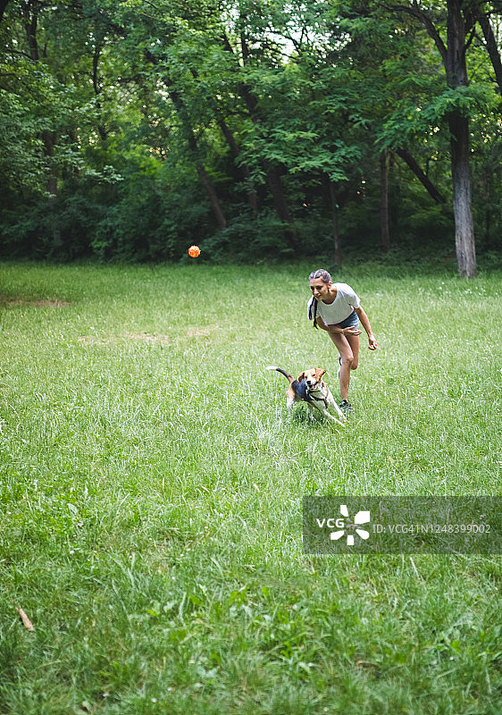 年轻女人在公园里和狗玩耍图片素材