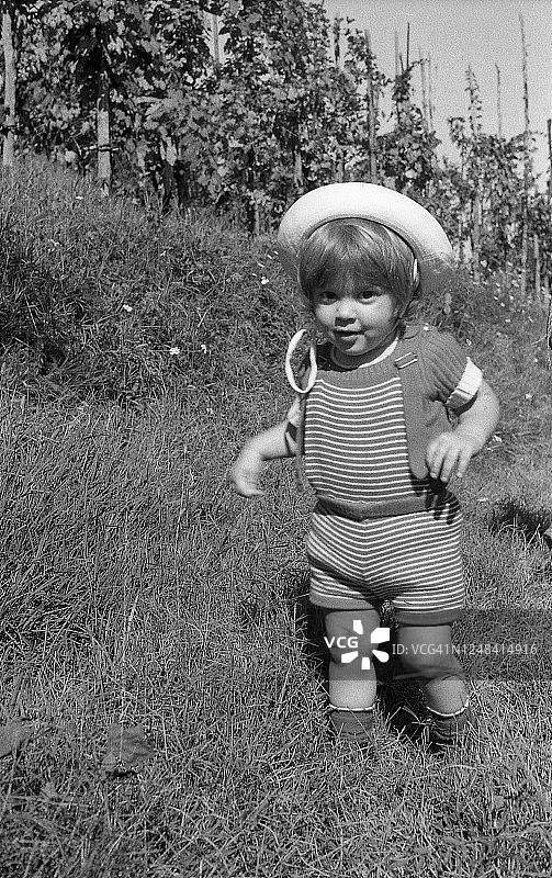 两岁幼儿在葡萄园图片素材