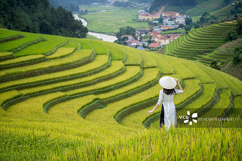 越南女孩穿奥黛在收获季梯田图片素材