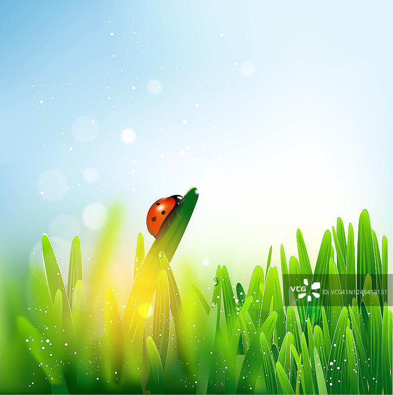 夏季色彩图片素材