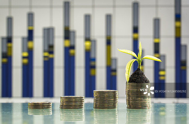 在硬币堆上生长的树图片素材