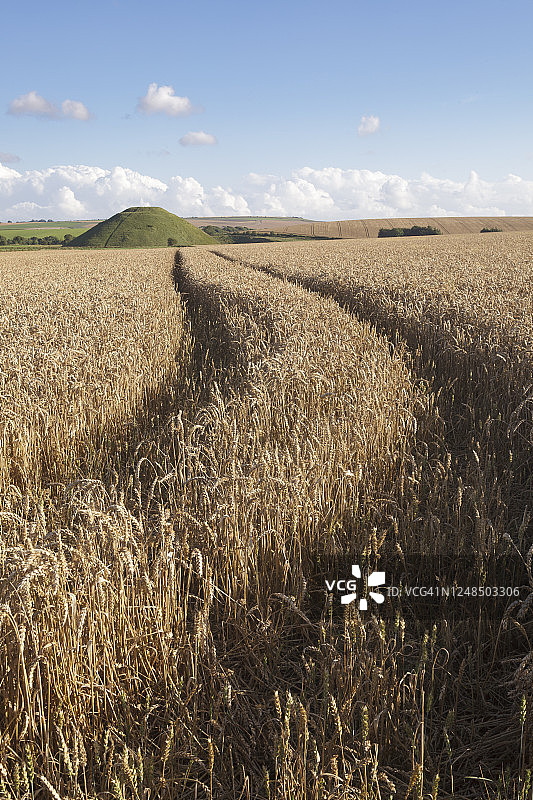 埃夫伯里附近的锡尔伯里山图片素材