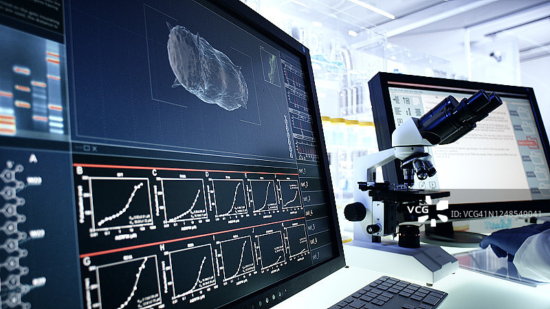 科学实验室研究：电脑屏幕上的水蚤图片素材
